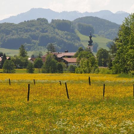 Ferienwohnungen Im Alpengaestehaus Marzoll - Bad Reichenhall Exteriör bild